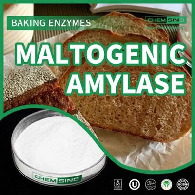 Sweeten the Deal: Slepptu bragðmiklum ljúflingum með maltogenic amylase! CAS NR. 9000-92-4