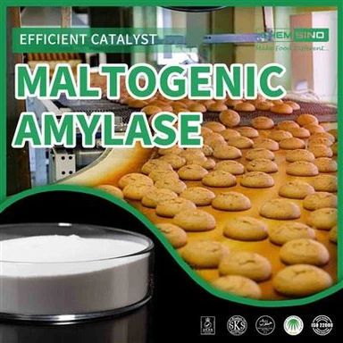 Opnaðu Sweet Potential: Veldu Maltogenic Amylase Fyrir matreiðsluárangur.CAS NO. 9000-92-4