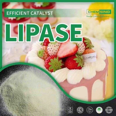Vellíðan innan frá: Lipase Enzyme For Happy Tummies CAS NO.:9001-62-1