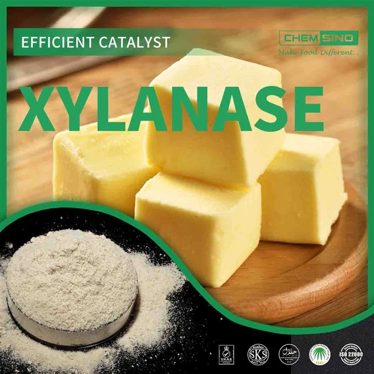 Xýlanasanotkun í matvæla- og pappírsiðnaði E1105
